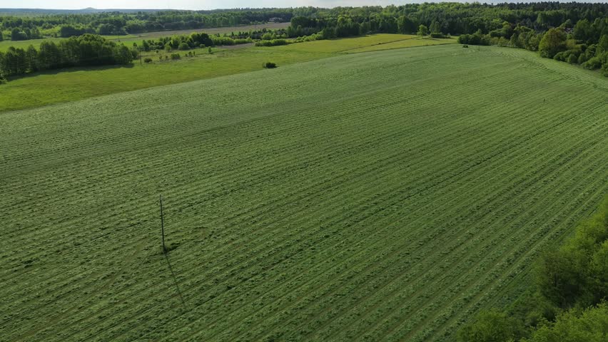 Panoramic aerial farmland with organic plantation and trees