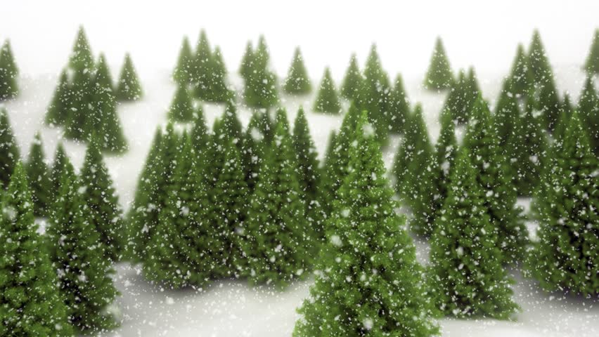 Soft Falling Snow Over Green Pine Trees. Winter Forest Landscape Loop 4K 