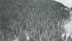 Aerial drone flight approaching a mountain fully covered with dense snow-covered pine forest. Endless rows of evergreen trees form a textured winter landscape under an overcast sky - Powered by Shutterstock - Get 15% off with code: PIKWIZARD15