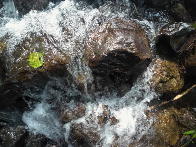 Close Up Rapid Water Flow Over Dark River Rocks. Fast moving stream creates bubbles, splashes and detailed motion making it ideal for nature backgrounds, relaxation videos