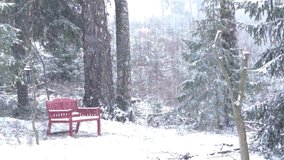 Peaceful winter scene with falling snow in a forest. A red wooden bench stands among snow-covered trees, creating a serene and tranquil atmosphere in soft daylight - Powered by Shutterstock - Get 15% off with code: PIKWIZARD15