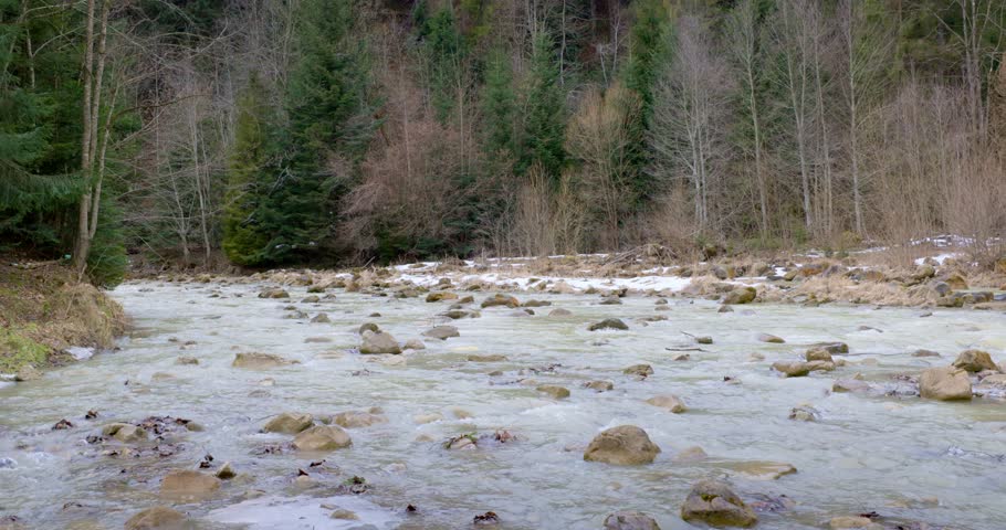 Serene Forest Stream Flowing Through Rocky Landscape