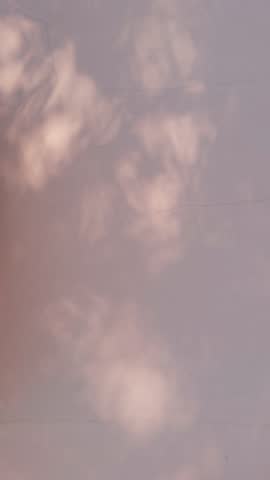 Seamless loop soft shadows and light patterns on a pale wall, creating a serene and calming atmosphere texture background