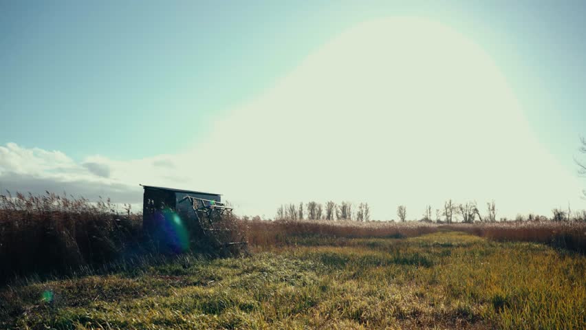 A wide landscape view featuring a small shed in a vast grassy field, illuminated by bright sunlight with trees on the horizon.