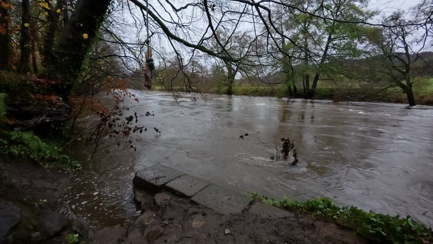 A landscape view of a high, fast-moving river swollen by flooding, with tree branches dipping into the turbulent brown water