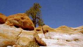 A Caucasian man jumps mid-air over rugged rock formations under a bright blue sky, symbolizing freedom and human energy - Powered by Shutterstock - Get 15% off with code: PIKWIZARD15