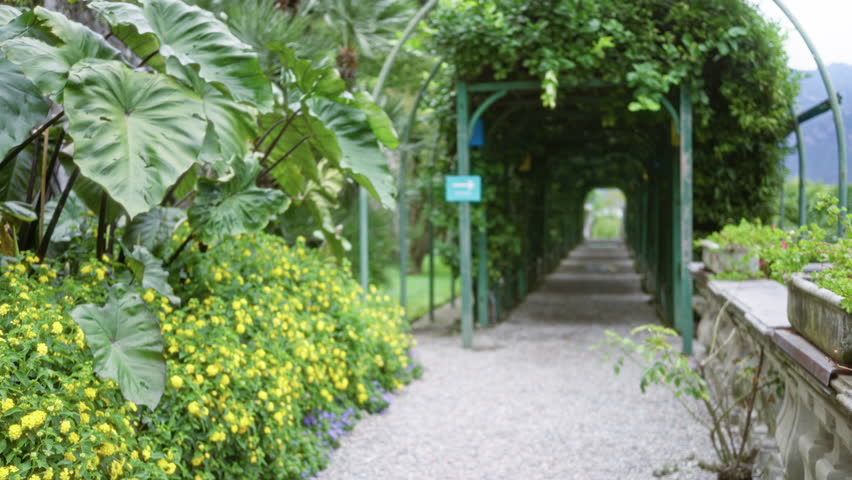 Blurred garden walkway with soft bokeh pergola, gravel path, lush foliage and yellow flowers in shallow focus; background backplate copyspace calm.