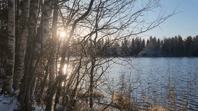 Bright Sunlight Peeking Through Birch Trees on Frozen Lake Shore - Powered by Shutterstock - Get 15% off with code: PIKWIZARD15