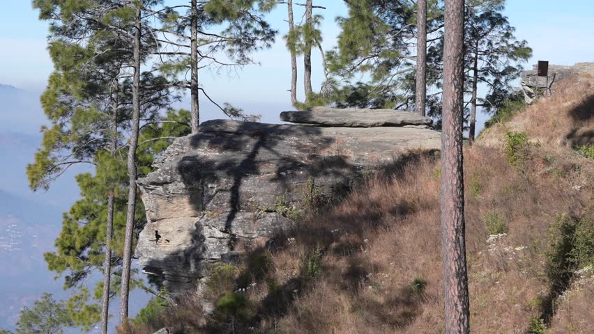 Kasar Devi Rock Cliff and Pine Forest Over Himalayan Valley 4K footage
