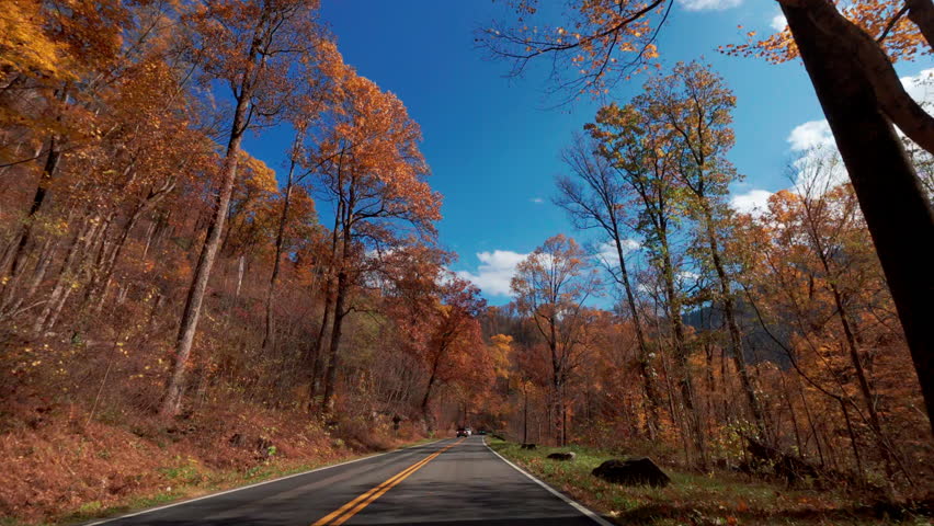Scenic drive through a vibrant autumn forest, with colorful fall foliage surrounding a mountain road. Tall trees in shades of red, orange, and yellow line roadway. 