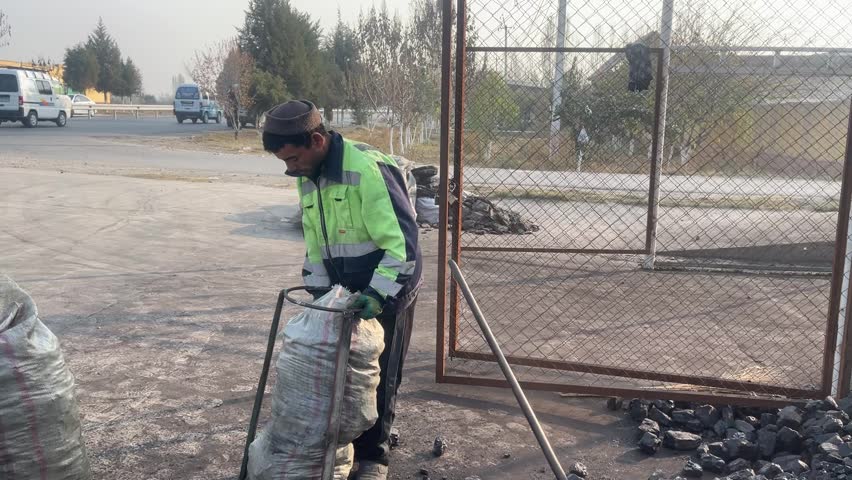 15 October 2025, Fergana, Uzbekistan – Workers manually loading coal outdoors, illustrating labor-intensive industrial or rural work.
