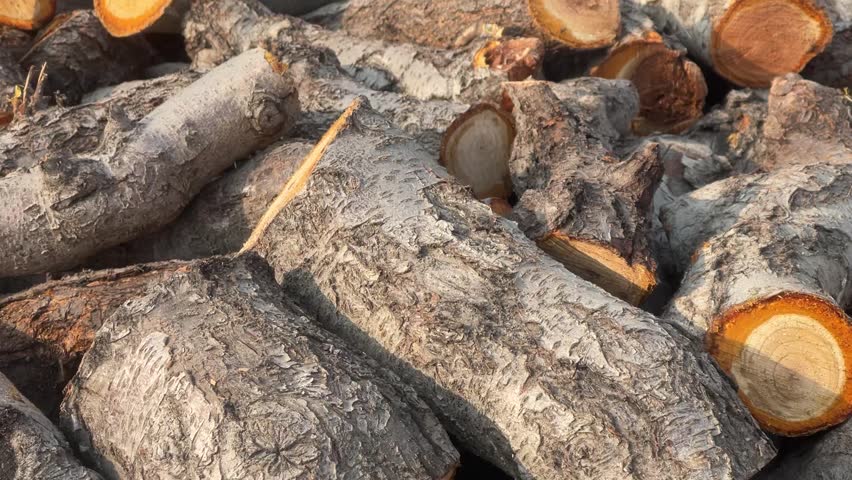 Small village truck loaded with firewood
