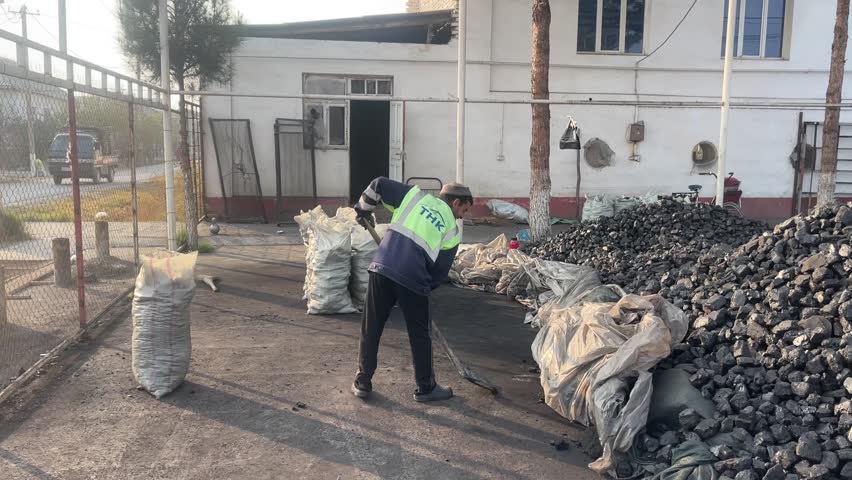 15 October 2025, Fergana, Uzbekistan – Workers manually loading coal outdoors, illustrating labor-intensive industrial or rural work.