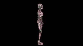 Glowing diamond humanoid robot on black background. Rotating Ai cyborg for high technology themed videos. Perfect reflective surface - Powered by Shutterstock - Get 15% off with code: PIKWIZARD15