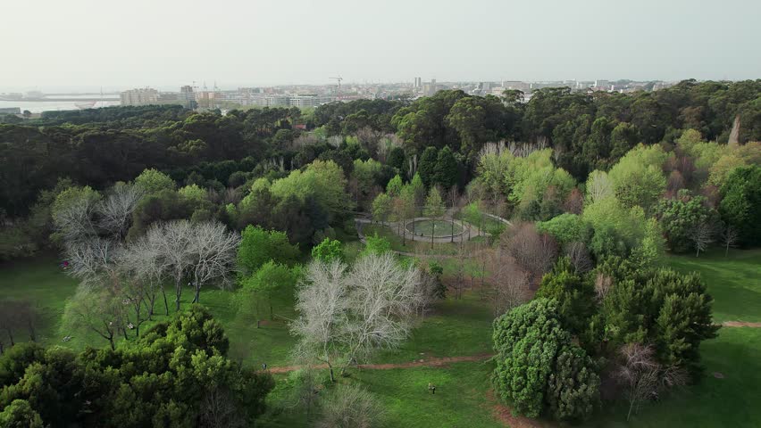 Expansive aerial panorama of Porto City Park captures the large scale of the urban oasis, showcasing the diversity of the lush green canopy, the tranquil Lago do Parque da Cidade