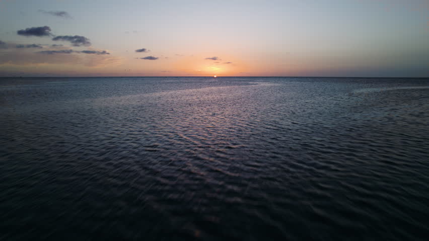 Ocean Waves Sunrise with Birds Flying Aerial