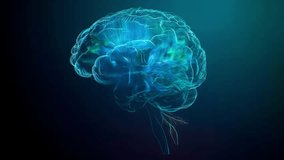 Digital brain rotating showing neural network activity and electrical impulses for artificial intelligence - Powered by Shutterstock - Get 15% off with code: PIKWIZARD15