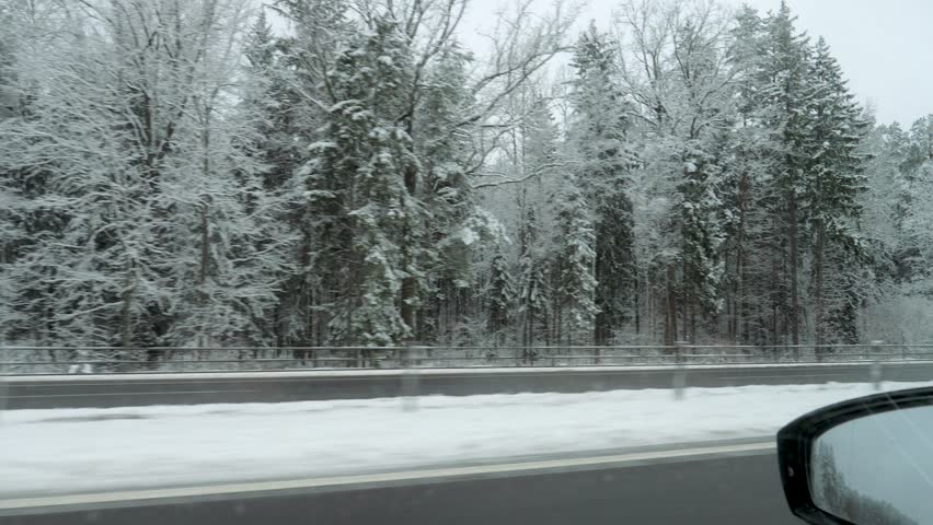 Snowy pine forest seen from car window, passing highway guardrail and rear view mirror, frosted branches and overcast sky. Gentle motion and subtle blur convey quiet winter commute and cold atmosphere