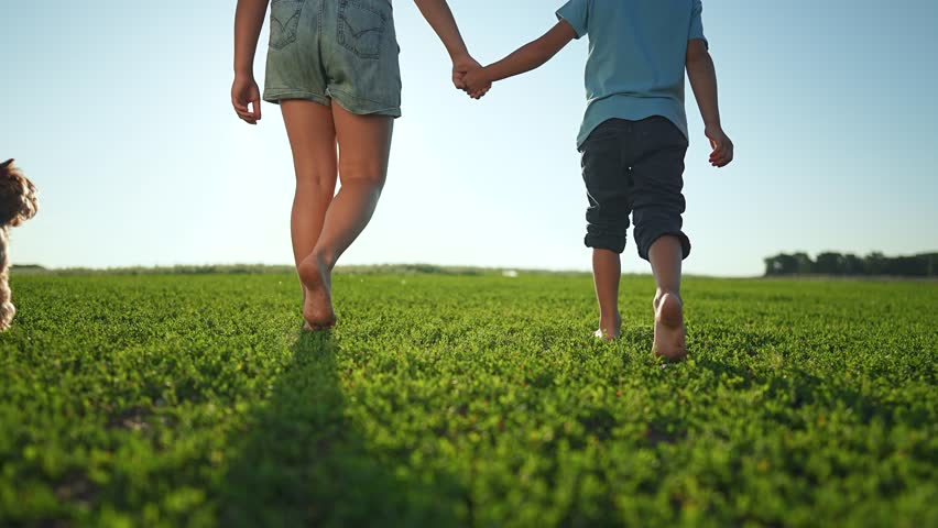 Children barefoot walking on grass in field. Girl and boy holding hands in summer park. Dog runs through green field. Happy barefoot children on summer grass. Kids walk holding hands on grass.