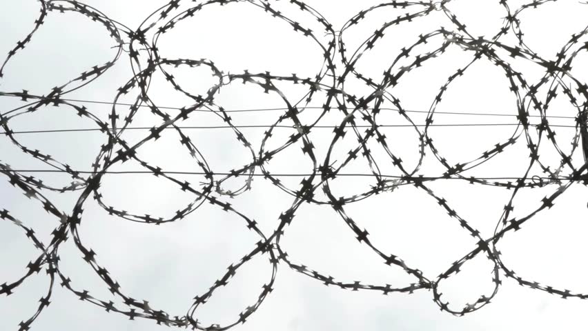 Barbed wire on the fence. Fencing of the enterprise. Closed territory. Warning of danger. Protection from attack and escape enclosed by chain link