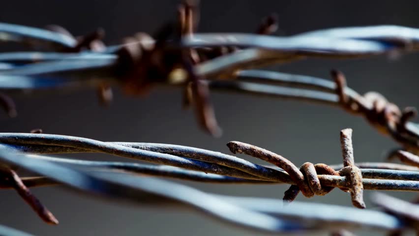 Barbed Wire Moving Shot barbed wire fence boundary barrier restrict prison isolated base at sunset close up. Loopable animation concept of freedom