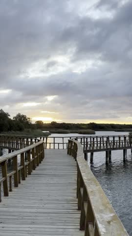 Vertical video about Las Tablas de Daimiel National Park in Spain. Video about a walkway over a lagoon.