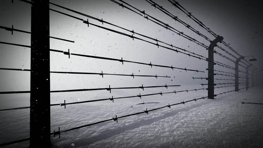 Fence with a barbed wire. animation behind the barbed wire. illegal immigration fence from refugees. sharp spears no trespass concept