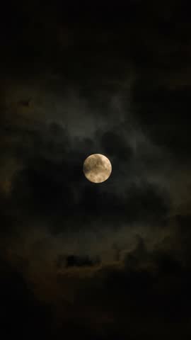 Night Sky with Full Moon and Moving Clouds Over a Forest Landscape. Time Lapse. Time-lapse with Full Moon at Night Vertical Video