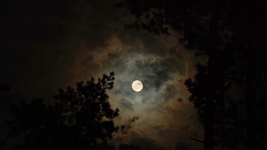 Full Moon and Cloud Motion Across the Sky - Forest Timelapse at Night. Full Moon Passing Through Dark, Grunge Clouds - Mysterious Night Sky, Time Lapse, Timelapse, Time-Lapse Video