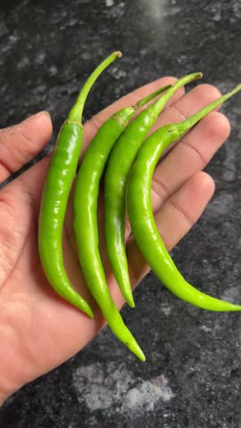 Hand holding fresh green chili vertical video