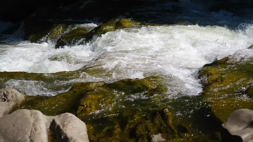 Powerful river rapids surge over mossy rocks and smooth stones in dark shadowed natural setting.