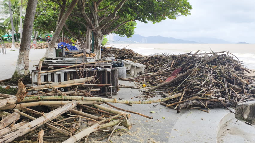 Coastal area suffers post storm damage. Accumulated logs, branches, debris litter clean beach. Dirty brown sea shows effect intense rain, runoff. Cleanup effort essential mitigating damage impact.