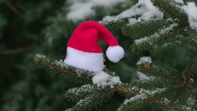 Santa Claus Hat on a Snowy Pine Branch in Winter Forest with Falling Snow - Powered by Shutterstock - Get 15% off with code: PIKWIZARD15