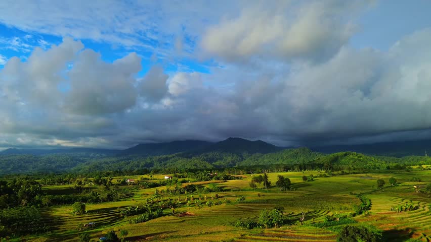 Beautiful morning view indonesia Panorama Landscape paddy fields with beauty color and sky natural light