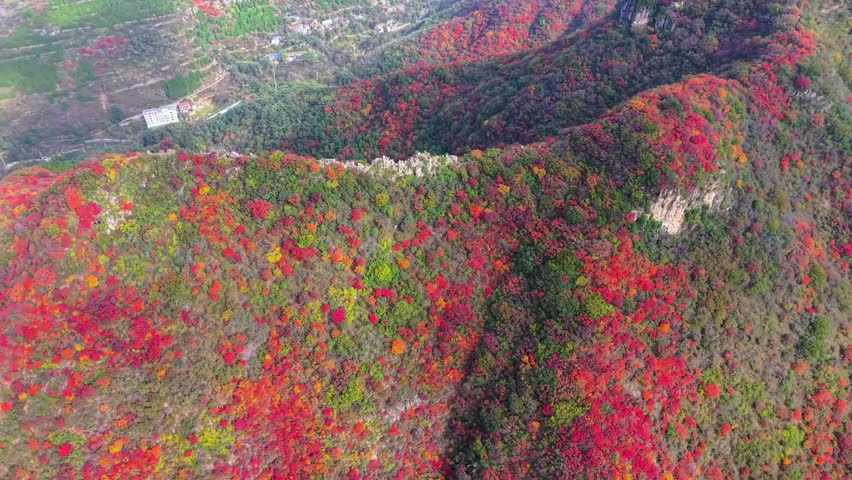 Aerial view of autumn scenery: layered forests and overlapping mountain ranges