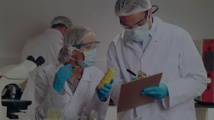 Female scientist moving pipette to corn, sparking purple overlay while peer noting food tests data. Laboratory, researcher, microscope, clipboard, gloves, masks, goggles - Powered by Shutterstock - Get 15% off with code: PIKWIZARD15