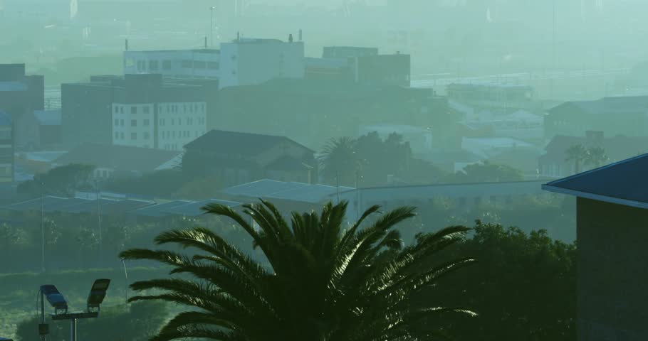 Haze lifting, soft HUD overlay appearing and drifting, nodes mapping data across palm tree skyline. Urban, balcony, cityscape, mist, futuristic, interface, visualization