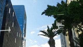 Cloud-monitor icon appearing, HUD overlays morphing into charts over palm tree, showing analytics. Infographics, visualization, cityscape, urban, skyscraper, glass, bright - Powered by Shutterstock - Get 15% off with code: PIKWIZARD15