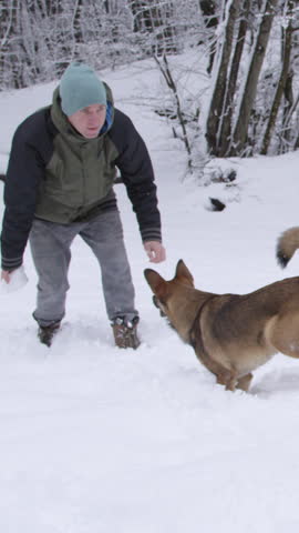 Dog owner throws a snowball as he plays with his excited young day on snowy day. Active man and brown doggy play during their winter walk around freshly snowed forest. They enjoy a winter day outside.