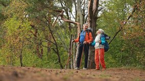 Hiking tourism adventure. Senior couple man woman enjoying outdoor recreation hiking in forest. Happy old people backpackers hikers enjoy walking hike trekking tourism active vacation beauty of nature - Powered by Shutterstock - Get 15% off with code: PIKWIZARD15
