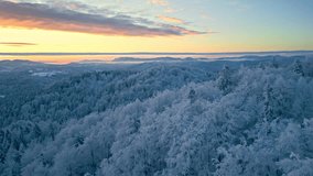 Breathtaking winter landscape at dawn, snow-covered trees and rolling hills under a pastel sky. Drone footage captures serene, frosty scenery, perfect for winter enthusiasts and landscape photography. - Powered by Shutterstock - Get 15% off with code: PIKWIZARD15