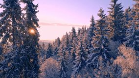 Breathtaking winter landscape at sunrise, snow-covered evergreen trees, frosty forest on rolling hills, golden dawn light, serene cold beauty, stunning frozen scenery, drone footage. - Powered by Shutterstock - Get 15% off with code: PIKWIZARD15