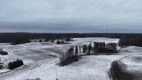 Snowy fields and trees create a peaceful winter landscape, as the camera pans across the scene, highlighting the serene beauty and vastness of nature - Powered by Shutterstock - Get 15% off with code: PIKWIZARD15