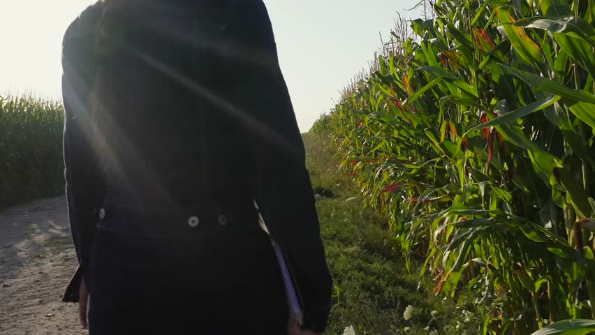 A person stands with an arm extended in a tall green corn field, bathed in warm sunbeams, wearing a dark jacket.