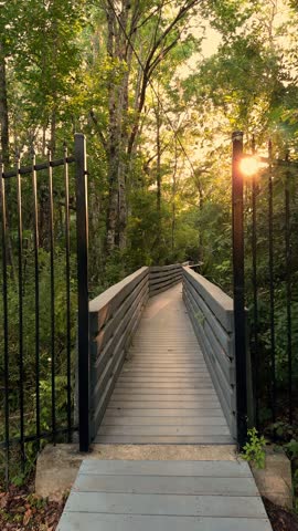 A long boardwalk winds through dense trees with warm evening light. Palms and leaves surround the raised path in a quiet wetland park.