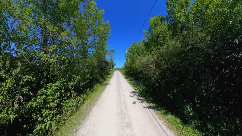 Straight country road back view driving plate POV, high side walls of lush trees. Driving car in country road at early fall in Manitoulin Island. Gibraltar Road near Lake Manitou, Ontario, Canada.