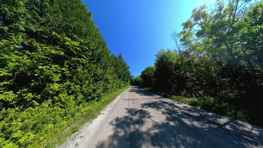 Straight country road back view driving plate POV, high side walls of lush trees. Driving car in country road at early fall in Manitoulin Island. Gibraltar Road near Lake Manitou, Ontario, Canada.