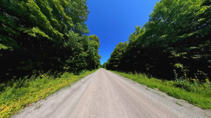 Straight country road back view driving plate POV, high side walls of lush trees. Driving car in country road at early fall in Manitoulin Island. Gibraltar Road near Lake Manitou, Ontario, Canada.