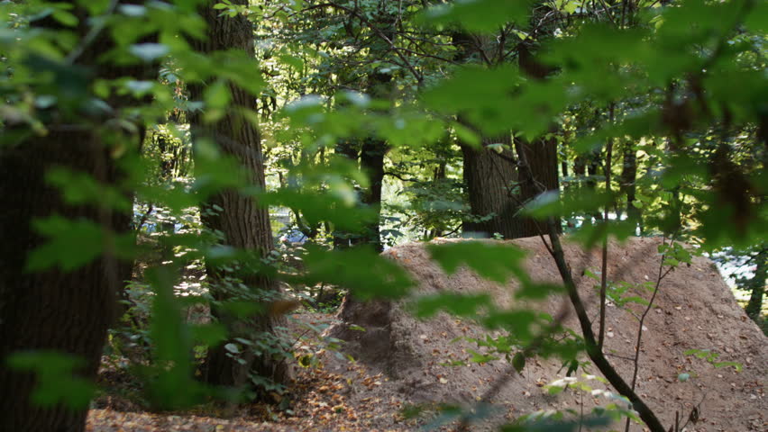 Young man in helmet on extreme bicycle jumps on hilly dirt trail in forest slow motion. Sportsman tricks with mountain bike in air exercising on woods track