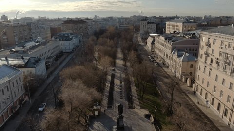 Smooth Drone Approach along Tree Lined Boulevard